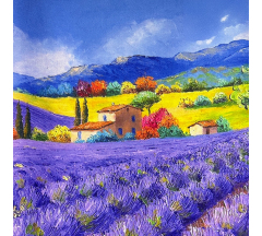 Купон 43.1 70*56